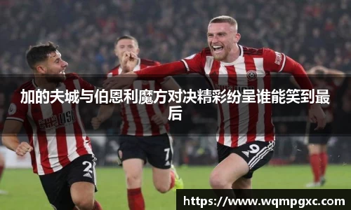 伟德bv国际