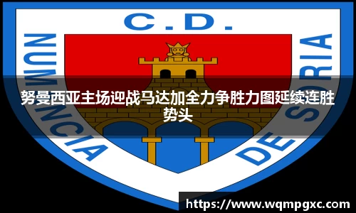 伟德bv国际